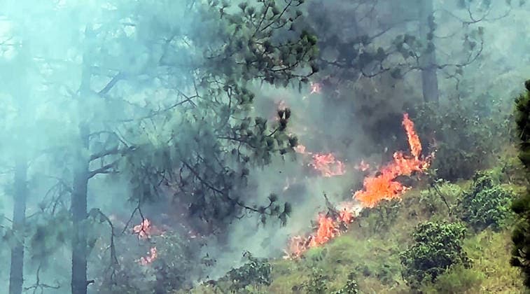 RECORD DATE NOT STATED Forest fire breaks out in Salal forest of Reasi amid dry conditions, strong winds Reasi J&K , June 21 (ANI): A forest fire broke out in the Salal forest area with flames and smoke spreading rapidly amid dry vegetation and strong winds, in Reasi on Sunday. (ANI Video Grab) Reasi Jammu and Kashmir India Copyright: xANIx ANI_20260621486