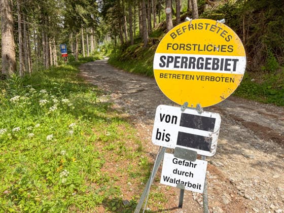 21.06.2026 Patscherkofel, Innsbruck, Tirol, Österreich Bild: Hinweisschild: befristetes forstliches Sperrgebiet, betreten verboten, Gefahr durch Waldarbeit, Wanderweg gesperrt wegen Forstarbeiten, Waldweg, Forstweg, Weg, Forst *** June 21, 2026 Patscherkofel, Innsbruck, Tyrol, Austria Photo