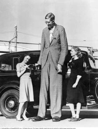 Robert Wadlow (USA, 1918–1940) – Mit einer Körpergröße von 8 ft 11 in (272 cm) der größte nachweislich lebende Mensch der Geschichte. Bekannt als der Alton Giant oder Gentle Giant , litt er an Hypophysen Gigantismus. Trotz gesundheitlicher Probleme (er benötigte Beinstützen und starb jung an einer Infektion) arbeitete er kurzzeitig als Werber und gilt bis heute als Ikone des Guinness Buches der Rekorde. Das Foto zeigt ihn im Alter von 19 Jahren. 1937 Robert Wadlow (USA, 1918–1940) — The tallest verified person in recorded history at 8 ft 11 in (272 cm). Known as the Alton Giant or Gentle Giant, he suffered from pituitary gigantism. Despite health issues (he needed leg braces and died young from an infection), he worked briefly as an Copyright: imageBROKER Sjoberg ibljsj18095895.jpg