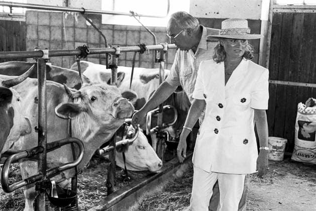Bundeskanzler Helmut Kohl mit Ehefrau Hannelore im Urlaub, offizielles Urlaubsfoto, Besuch im Kuhstall, Kanzler streichelt Kühe auf dem Bauernhof der Familie Hammerl, inszenierte Idylle, St. Lorenz am Mondsee, Österreich, 7. August 1992 Österreich, St. Lorenz am Mondsee, 7. August 1992, Bundeskanzler Helmut Kohl (1930-2017) mit Ehefrau Hannelore (1933-2001) im Urlaub, offizielles Urlaubsfoto, Besuch im Kuhstall, Kanzler streichelt Kühe auf dem Bauernhof der Familie Hammerl, Idylle, 30 Kilometer von Salzburg entfernt, Kanler Kohl nutzte seine Österreich-Urlaube jeweils zum Fasten und Abspecken, Bundeskanzler Kohl zeigte sich in den 80er und 90er Jahren jeweils einmal pro Urlaub der Presse für ein offizielles Urlaubsfoto, jeweils rund