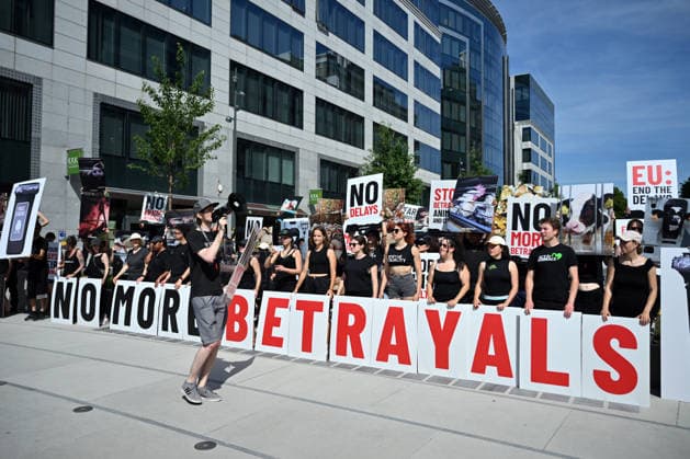Animal rights activists demonstrate near EU Commission in Brussels for Welfare Reform BRUSSELS, BELGIUM - JUNE 22: Animal rights activists hold placards featuring images of farm animals and slogans like Stop Betraying Animals and Citizens and Farm Industry Out of EU Commission during a protest near the European Commission building in Brussels, Belgium on June 22, 2026. The group gathered to demand comprehensive animal welfare reforms and stricter regulations across the European Union. Dursun Aydemir Anadolu Brussels Belgium. Editorial use only. Please get in touch for any other usage.  Copyright: x2026xAnadoluxDursunxAydemirx