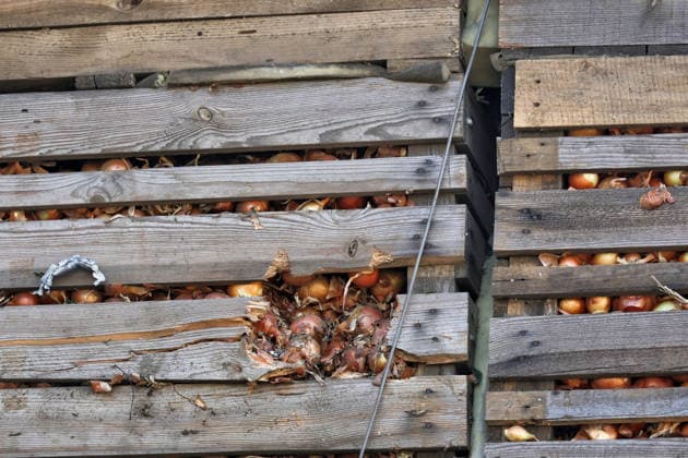RECORD DATE NOT STATED A wooden container filled with onions, pierced by shrapnel, is seen on the grounds of an agricultural enterprise damaged by a Russian missile strike in Odesa region, Ukraine, on June 21, 2026. Late on June 21, Russian forces launched an Iskander ballistic missile strike on a civilian agricultural enterprise, completely destroying a warehouse building and damaging the facade of a two-story building and agricultural machinery. One person was killed and three others were injured and hospitalized (Photo by Nina Liashonok Ukrinform) Agricultural enterprise hit by Russian strike in Odesa region  Copyright: xNinaxLiashonokx