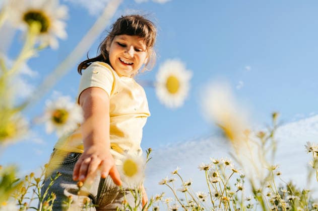 Smiling young girl in wildflower meadow viewed from below Corby, England, United Kingdom CR_JNDO260622-2059633-01 ,model released, Symbolfoto
