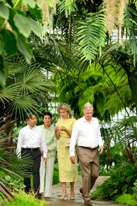 State Visit of the Emperor and the Empress of Japan to Belgium BRUSSELS, BELGIUM - JUNE 25 : Emperor Naruhito of Japan, Empress Masako of Japan, King Philippe - Filip of Belgium and Queen Mathilde of Belgium pictured during a wallk in the Royal Greenhouses of Laeken during the state visit of the Emperor and Empress of Japan to Belgium, on June 25, 2026 in Brussels, Belgium, 25 06 2026 Brussels Belgium  Copyright: xPhilipxReynaersx
