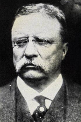 RECORD DATE NOT STATED Photograph of Theodore Roosevelt Photograph of Theodore Roosevelt (1858-1919) an American statesman, author, explorer, soldier, and naturalist, who served as the 26th President of the United States. Dated 20th century Editorial use only. All other uses to be cleared with the copyright owner (World History Archive), in advance., WHA_102_0072.jpg, Theodore Roosevelt; American statesman; author; explorer; soldier; naturalist; 26th President of the United States; 20th century; historical figure; political leader; conservationist; Rough Rider; Nobel Peace Prize winner; Progressive Era; Republican Party; Teddy Roosevelt; American history; iconic figure; outdoorsman; wildlife enthusiast; conservation advocate; New York gover Copyright: xx