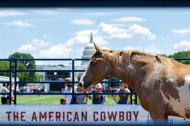 June 25, 2026, Washington, District Of Columbia, United States: A horse walks through the grounds of the Great American State Fair on the National Mall in Washington, D.C., before participating in a rodeo demonstration during the Freedom 250 kickoff celebration. The event marks the launch of the White House-led initiative commemorating the upcoming 250th anniversary of the United States. Washington United States - ZUMAk206 20260625_znp_k206_020 Copyright: xMattxKaminskyx