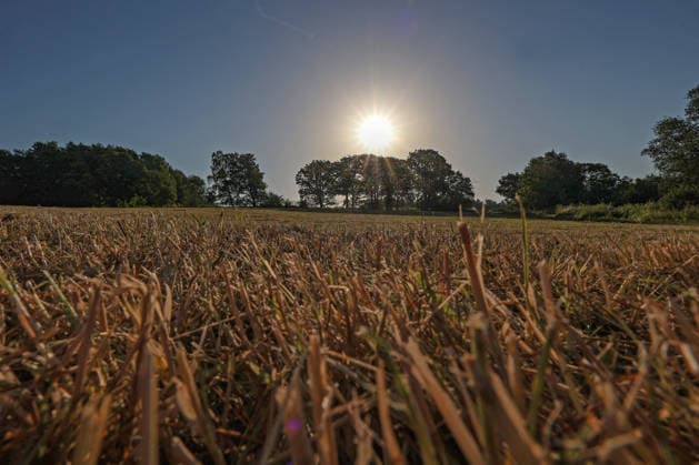 Sommer im Siegerland. Es ist sehr heiss (heiß) und die Temperaturen sollen weiter ansteigen. Der Himmel ist blau und die Sonne strahlt vom wolkenlosen Himmel auf die Landschaft. Sommer am 26.06.2026 in Siegen Deutschland. *** Summer in the Siegerland. It is very hot, and temperatures are expected to rise further. The sky is blue, and the sun is shining down on the landscape from a cloudless sky. Summer on June 26, 2026, in Siegen, Germany.