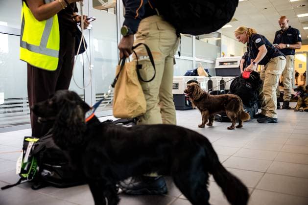 EINDHOVEN - A Dutch rescue team is departing from Eindhoven Air Base for Venezuela to provide aid following the earthquakes that struck the country. The Urban Search and Rescue team is heading there with 65 rescue workers, eight dogs, and equipment. ROB ENGELAAR ANP netherlands out - belgium out  Copyright: xx x562041109x originalFilename: 562041109.jpg