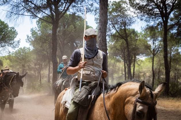 The traditional Saca de las Yeguas (Gathering of the Mares) in Almonte EL ROCÃO, SPAIN - JUNE 27: Today the traditional Saca de las Yeguas took place, where 1,600 mares and foals were driven in different tropas (groups) until their arrival in Almonte. This tradition has more than five centuries of roots, being one of the most significant events on the calendar in the province of Huelva. During the route, the yegüerizos can be seen driving the mares amid clouds of dust through the marshes and the Donana Natural Park until reaching the town of Almonte. El Rocio Spain Copyright: x xSamuelxVegax xJNAxPressx