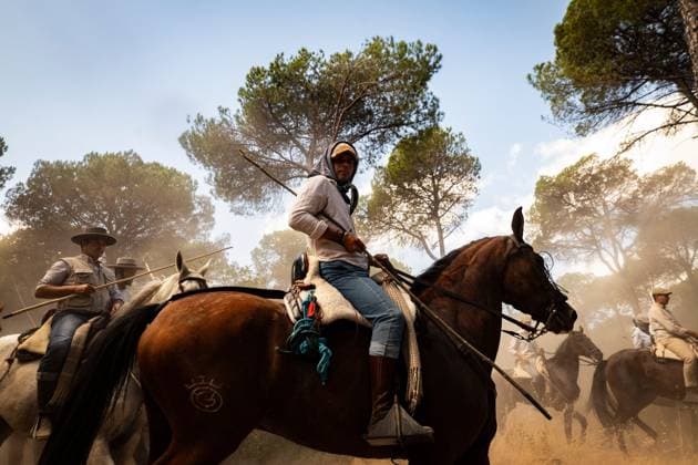 The traditional Saca de las Yeguas (Gathering of the Mares) in Almonte EL ROCÃO, SPAIN - JUNE 27: Today the traditional Saca de las Yeguas took place, where 1,600 mares and foals were driven in different tropas (groups) until their arrival in Almonte. This tradition has more than five centuries of roots, being one of the most significant events on the calendar in the province of Huelva. During the route, the yegüerizos can be seen driving the mares amid clouds of dust through the marshes and the Donana Natural Park until reaching the town of Almonte. El Rocio Spain Copyright: x xSamuelxVegax xJNAxPressx