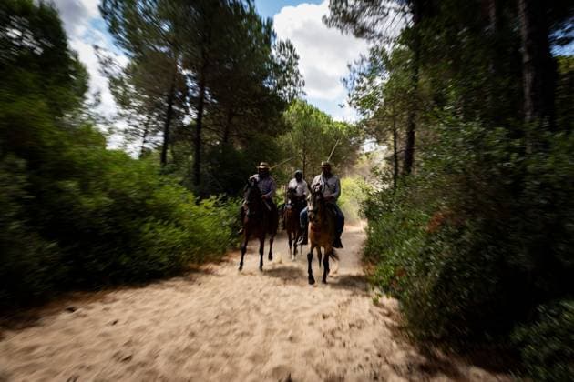 The traditional Saca de las Yeguas (Gathering of the Mares) in Almonte EL ROCÃO, SPAIN - JUNE 27: Today the traditional Saca de las Yeguas took place, where 1,600 mares and foals were driven in different tropas (groups) until their arrival in Almonte. This tradition has more than five centuries of roots, being one of the most significant events on the calendar in the province of Huelva. During the route, the yegüerizos can be seen driving the mares amid clouds of dust through the marshes and the Donana Natural Park until reaching the town of Almonte. El Rocio Spain Copyright: x xSamuelxVegax xJNAxPressx