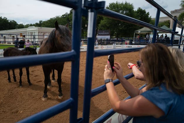 June 26, 2026, Washington, District Of Columbia, USA: People photograph a horse at a rodeo during the Great American State Fair on the National Mall in Washington, D.C. on June 26, 2026. Rodeo 250, produced by Cervi Rodeo Company, is one of numerous events during the 16-day fair, celebrating the 250th anniversary of the United States of America. Washington USA - ZUMAd227 20260626_znp_d227_004 Copyright: xBryanxDozierx