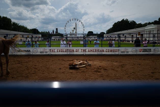 June 26, 2026, Washington, District Of Columbia, USA: A foal rolls on the ground before a rodeo during the Great American State Fair on the National Mall in Washington, D.C. on June 26, 2026. Rodeo 250, produced by Cervi Rodeo Company, is one of numerous events during the 16-day fair, celebrating the 250th anniversary of the United States of America. Washington USA - ZUMAd227 20260626_znp_d227_005 Copyright: xBryanxDozierx