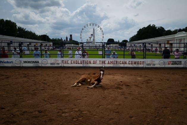June 26, 2026, Washington, District Of Columbia, USA: A foal rolls on the ground before a rodeo during the Great American State Fair on the National Mall in Washington, D.C. on June 26, 2026. Rodeo 250, produced by Cervi Rodeo Company, is one of numerous events during the 16-day fair, celebrating the 250th anniversary of the United States of America. Washington USA - ZUMAd227 20260626_znp_d227_007 Copyright: xBryanxDozierx