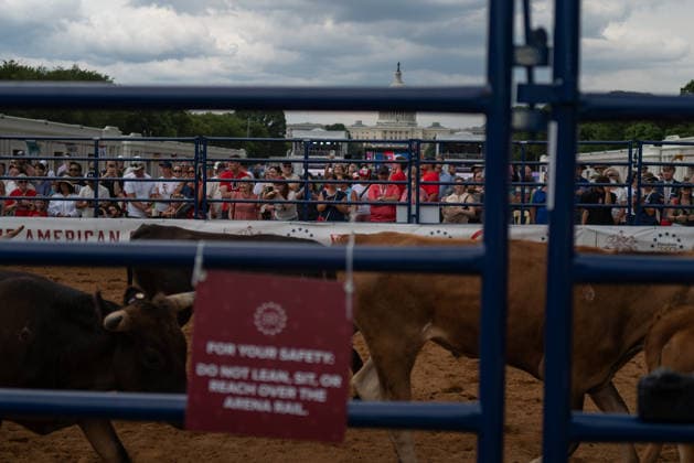 June 26, 2026, Washington, District Of Columbia, USA: People watch cattle run at a rodeo during the Great American State Fair on the National Mall in Washington, D.C. on June 26, 2026. Rodeo 250, produced by Cervi Rodeo Company, is one of numerous events during the 16-day fair, celebrating the 250th anniversary of the United States of America. Washington USA - ZUMAd227 20260626_znp_d227_017 Copyright: xBryanxDozierx