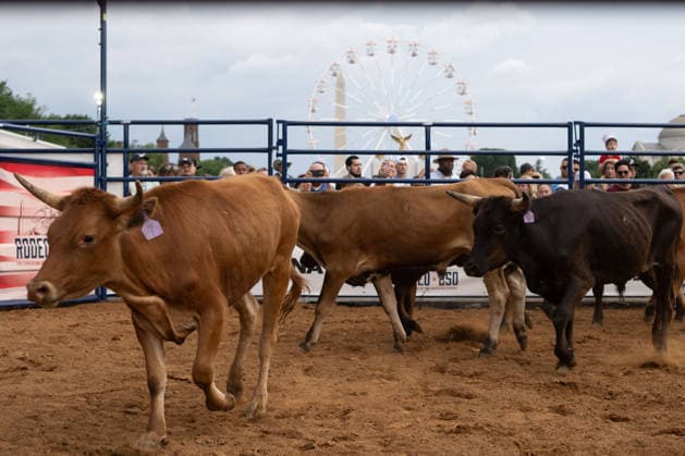 June 26, 2026, Washington, Dc, Washington, Dc, USA: The Great American State Fair s theme was Land and Prosperity on Friday, June 26. The daily rodeo took place at 4:00pm and included bull riding. Washington, Dc USA - ZUMAm230 20260626_znp_m230_024 Copyright: xNickxMasonx