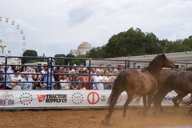 June 26, 2026, Washington, Dc, Washington, Dc, USA: The Great American State Fair s theme was Land and Prosperity on Friday, June 26. The daily rodeo took place at 4:00pm and included bull riding. Washington, Dc USA - ZUMAm230 20260626_znp_m230_041 Copyright: xNickxMasonx