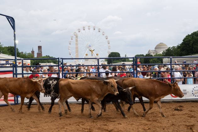 June 26, 2026, Washington, Dc, Washington, Dc, USA: The Great American State Fair s theme was Land and Prosperity on Friday, June 26. The daily rodeo took place at 4:00pm and included bull riding. Washington, Dc USA - ZUMAm230 20260626_znp_m230_045 Copyright: xNickxMasonx