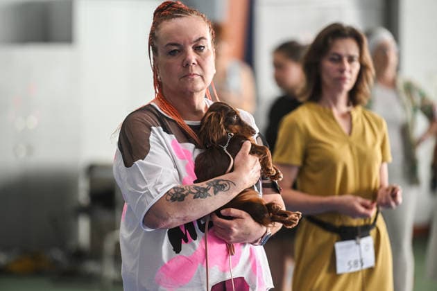 International Dog Show in Poland KRAKOW, POLAND - JUNE 27 : Competitors with their dogs participate in the international dog show in Krakow,, Poland on June 27, 2026. The dog show, brings together hundreds of dogs from all over the world during a 2 days event. Omar Marques Anadolu Krakow Poland. Editorial use only. Please get in touch for any other usage.  Copyright: x2026xAnadoluxOmarxMarquesx