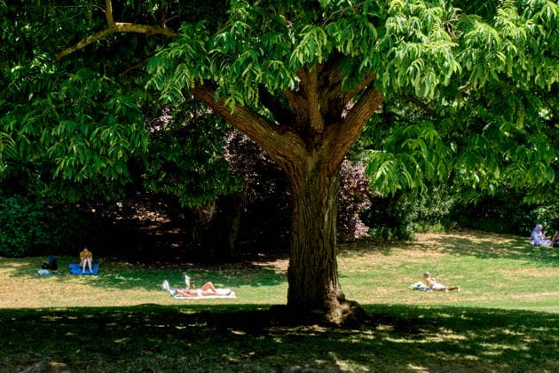 Daily Life Images During A Heatwave In Paris People relax and cool off under the shade of trees at Parc Montsouris during a heatwave in Paris, France, on June 27, 2026. Soaring temperatures sweep across France in the second major heatwave of the year. Paris France  Copyright: xAdnanxFarzatx originalFilename: farzat-notitle260627_np7z8.jpg