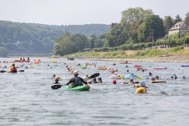 Rheinschwimmen des DLRG Bad Honnef Unkel 413 Schwimmerinnen und Schwimmer absolvieren am bislang heissesten Tag des Jahres beim Rheinschwimmen der DLRG Bad Honnef-Unkel den 11 Kilometer langen Kurs im Rhein von Linz nach Bad Honnef. Die Spassveranstaltung wird von der DLRG, Feuerwehr und THW abgesichert.Alle von jung bis alt sind wohlerhalten am Ziel angekommen und hatten trotz den Temperaturen jede Menge Spaß Remagen Rheinland-Pfalz Deutschland *** DLRG Bad Honnef Unkel Rhine Swim: On what has been the hottest day of the year so far, 413 swimmers completed the 11-kilometer course in the Rhine from Linz to Bad Honnef during the DLRG Bad Honnef Unkel Rhine Swim. The fun event was supervised by the DLRG, the fire department, and the THW. Ev Copyright: xMarcxJohnx