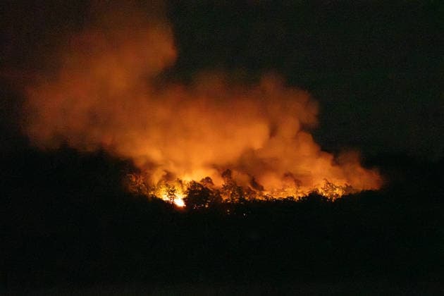 Waldbrand bei Traisen entwickelt sich zu Großschadenslage Am Samstag, dem 27.06.2026, kam es im Bereich des Fernsehturms bei Traisen in der Verbandsgemeinde Rüdesheim zu einem großflächigen Waldbrand. Das Feuer breitete sich in einem schwer zugänglichen, kampfmittelbelasteten Waldgebiet aus und erfasste nach Angaben der Einsatzleitung bis in die Nacht rund 37.000 Quadratmeter Waldfläche. Aufgrund der Gefahr durch mögliche Altmunition mussten Einsatzkräfte aus dem unmittelbaren Gefahrenbereich zurückgezogen werden. Die Brandbekämpfung erfolgte aus sicherer Entfernung unter anderem mit Spezialtechnik, einem Polizeihubschrauber sowie dem ferngesteuerten Löschroboter Magirus Wolf R1. Mehr als 300 Einsatzkräfte von Feuerwehren,