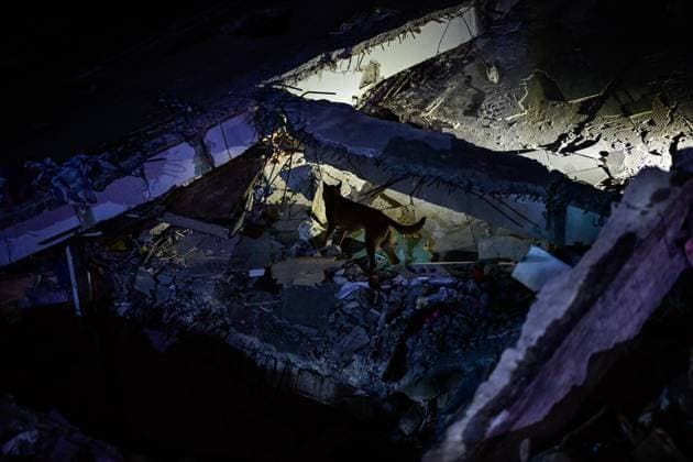Turkish rescue teams deployed to quake-hit Venezuela LA GUAIRA, VENEZUELA - JUNE 28: A rescue dog is seen as Turkish search and rescue teams, including specialist personnel from the Disaster and Emergency Management Authority (AFAD) and the Turkish Armed Forces, begin rescue operations amidst the rubble of a collapsed 14-story building in the La Paez neighborhood of La Guaira, Venezuela, on June 28, 2026. Following a series of devastating, high-magnitude earthquakes that struck Venezuela, Turkish emergency crews swiftly deployed to the hard-hit coastal city of La Guaira. Cem Tekkesinoglu Anadolu La Guaira Venezuela. Editorial use only. Please get in touch for any other usage.  Copyright: x2026xAnadoluxCemxTekkesinoglux