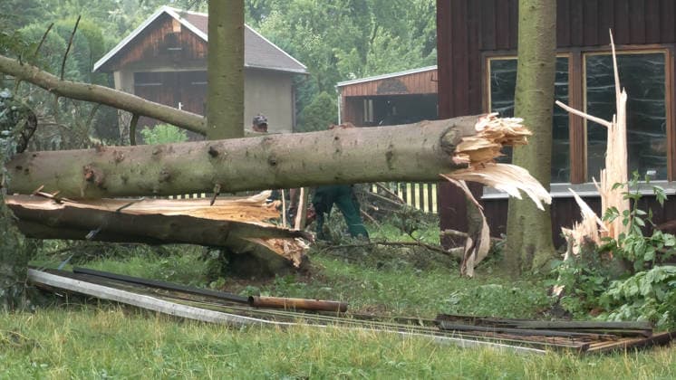 Der Deutsche Wetterdienst hat schwere Gewitter und Unwetter angekündigt und sie traten auch auf. Besonders heftig traf es am Sonntagnachmittag den Erzgebirgskreis. Mehrere Gewitter zogen über die Ortschaft Elterlein und Schwarzbach. Orkanböen von bis zu 140 km h verursachten immense Schäden im Ort. Unzählige Bäume stürzten um. Der Ort zwar zwischenzeitlich nur von einer Straße aus erreichbar. Die Einsatzleitung löste frühzeitig eine Sonderlage aus. Eine örtliche Einsatzleitung wurde gebildet. Überörtliche Kräfte aus Scheibenberg, Oberscheibe, Hermansdorf und Crottendorf kamen zum Einsatz. Es wurde eine NINA-Warnung auf Grund eines Stromausfalls herausgegeben. Die Einsatzleitung rechnet damit, dass der Strom mehrere Tage weg sein wird. An me
