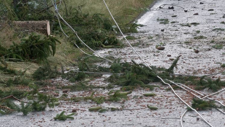 Der Deutsche Wetterdienst hat schwere Gewitter und Unwetter angekündigt und sie traten auch auf. Besonders heftig traf es am Sonntagnachmittag den Erzgebirgskreis. Mehrere Gewitter zogen über die Ortschaft Elterlein und Schwarzbach. Orkanböen von bis zu 140 km h verursachten immense Schäden im Ort. Unzählige Bäume stürzten um. Der Ort zwar zwischenzeitlich nur von einer Straße aus erreichbar. Die Einsatzleitung löste frühzeitig eine Sonderlage aus. Eine örtliche Einsatzleitung wurde gebildet. Überörtliche Kräfte aus Scheibenberg, Oberscheibe, Hermansdorf und Crottendorf kamen zum Einsatz. Es wurde eine NINA-Warnung auf Grund eines Stromausfalls herausgegeben. Die Einsatzleitung rechnet damit, dass der Strom mehrere Tage weg sein wird. An me