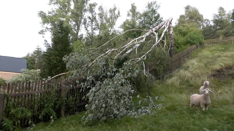 Der Deutsche Wetterdienst hat schwere Gewitter und Unwetter angekündigt und sie traten auch auf. Besonders heftig traf es am Sonntagnachmittag den Erzgebirgskreis. Mehrere Gewitter zogen über die Ortschaft Elterlein und Schwarzbach. Orkanböen von bis zu 140 km h verursachten immense Schäden im Ort. Unzählige Bäume stürzten um. Der Ort zwar zwischenzeitlich nur von einer Straße aus erreichbar. Die Einsatzleitung löste frühzeitig eine Sonderlage aus. Eine örtliche Einsatzleitung wurde gebildet. Überörtliche Kräfte aus Scheibenberg, Oberscheibe, Hermansdorf und Crottendorf kamen zum Einsatz. Es wurde eine NINA-Warnung auf Grund eines Stromausfalls herausgegeben. Die Einsatzleitung rechnet damit, dass der Strom mehrere Tage weg sein wird. An me