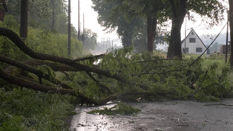 Der Deutsche Wetterdienst hat schwere Gewitter und Unwetter angekündigt und sie traten auch auf. Besonders heftig traf es am Sonntagnachmittag den Erzgebirgskreis. Mehrere Gewitter zogen über die Ortschaft Elterlein und Schwarzbach. Orkanböen von bis zu 140 km h verursachten immense Schäden im Ort. Unzählige Bäume stürzten um. Der Ort zwar zwischenzeitlich nur von einer Straße aus erreichbar. Die Einsatzleitung löste frühzeitig eine Sonderlage aus. Eine örtliche Einsatzleitung wurde gebildet. Überörtliche Kräfte aus Scheibenberg, Oberscheibe, Hermansdorf und Crottendorf kamen zum Einsatz. Es wurde eine NINA-Warnung auf Grund eines Stromausfalls herausgegeben. Die Einsatzleitung rechnet damit, dass der Strom mehrere Tage weg sein wird. An me