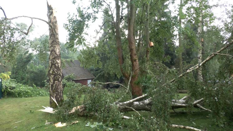 Der Deutsche Wetterdienst hat schwere Gewitter und Unwetter angekündigt und sie traten auch auf. Besonders heftig traf es am Sonntagnachmittag den Erzgebirgskreis. Mehrere Gewitter zogen über die Ortschaft Elterlein und Schwarzbach. Orkanböen von bis zu 140 km h verursachten immense Schäden im Ort. Unzählige Bäume stürzten um. Der Ort zwar zwischenzeitlich nur von einer Straße aus erreichbar. Die Einsatzleitung löste frühzeitig eine Sonderlage aus. Eine örtliche Einsatzleitung wurde gebildet. Überörtliche Kräfte aus Scheibenberg, Oberscheibe, Hermansdorf und Crottendorf kamen zum Einsatz. Es wurde eine NINA-Warnung auf Grund eines Stromausfalls herausgegeben. Die Einsatzleitung rechnet damit, dass der Strom mehrere Tage weg sein wird. An me