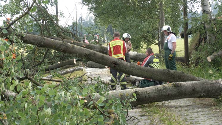 Der Deutsche Wetterdienst hat schwere Gewitter und Unwetter angekündigt und sie traten auch auf. Besonders heftig traf es am Sonntagnachmittag den Erzgebirgskreis. Mehrere Gewitter zogen über die Ortschaft Elterlein und Schwarzbach. Orkanböen von bis zu 140 km h verursachten immense Schäden im Ort. Unzählige Bäume stürzten um. Der Ort zwar zwischenzeitlich nur von einer Straße aus erreichbar. Die Einsatzleitung löste frühzeitig eine Sonderlage aus. Eine örtliche Einsatzleitung wurde gebildet. Überörtliche Kräfte aus Scheibenberg, Oberscheibe, Hermansdorf und Crottendorf kamen zum Einsatz. Es wurde eine NINA-Warnung auf Grund eines Stromausfalls herausgegeben. Die Einsatzleitung rechnet damit, dass der Strom mehrere Tage weg sein wird. An me