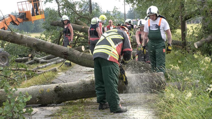 Der Deutsche Wetterdienst hat schwere Gewitter und Unwetter angekündigt und sie traten auch auf. Besonders heftig traf es am Sonntagnachmittag den Erzgebirgskreis. Mehrere Gewitter zogen über die Ortschaft Elterlein und Schwarzbach. Orkanböen von bis zu 140 km h verursachten immense Schäden im Ort. Unzählige Bäume stürzten um. Der Ort zwar zwischenzeitlich nur von einer Straße aus erreichbar. Die Einsatzleitung löste frühzeitig eine Sonderlage aus. Eine örtliche Einsatzleitung wurde gebildet. Überörtliche Kräfte aus Scheibenberg, Oberscheibe, Hermansdorf und Crottendorf kamen zum Einsatz. Es wurde eine NINA-Warnung auf Grund eines Stromausfalls herausgegeben. Die Einsatzleitung rechnet damit, dass der Strom mehrere Tage weg sein wird. An me