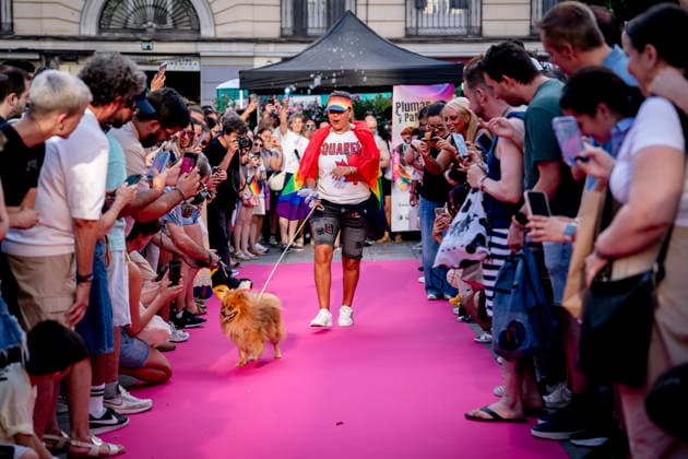 Celebration of the Plumas y Patitas 2026 event at Plaza Pedro Zerolo in Madrid Celebration of the Plumas y Patitas 2026 event at Plaza Pedro Zerolo on June 28, 2026, in Madrid, Spain. This event, part of the official activities of Madrid’s LGBTIQ Pride, brings together hundreds of attendees and their pets to raise awareness about animal abandonment, promote responsible adoption, and highlight family diversity and respect for animal rights. JUNE 28, 2026 A Pé Madrid Madrid, Spain  Copyright: xA.xPÃ rezxMecax 7629043