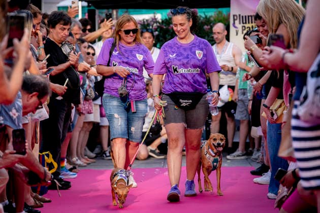 Celebration of the Plumas y Patitas 2026 event at Plaza Pedro Zerolo in Madrid Celebration of the Plumas y Patitas 2026 event at Plaza Pedro Zerolo on June 28, 2026, in Madrid, Spain. This event, part of the official activities of Madrid’s LGBTIQ Pride, brings together hundreds of attendees and their pets to raise awareness about animal abandonment, promote responsible adoption, and highlight family diversity and respect for animal rights. JUNE 28, 2026 A Pé Madrid Madrid, Spain  Copyright: xA.xPÃ rezxMecax 7629044