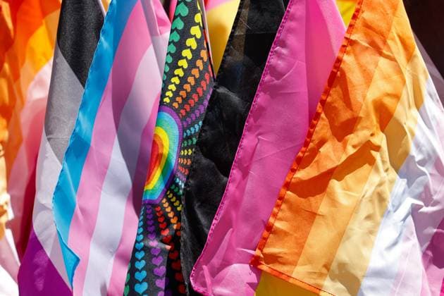 June 28, 2026, St. Petersburg, Florida, USA: A variety of Pride flags are displayed during the St. Pete Pride Grand Central Street Fair at the Grand Central District on Sunday, June 28, 2026, in St. Petersburg. St. Petersburg USA - ZUMAs70_ 20260628_zan_s70_025 Copyright: xJeffereexWoox