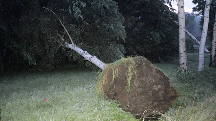 Die Aufräumarbeiten im erzgebirgischen Schwarzbach dauern an. Mittlerweile gibt es Regionalbereichsübergreifende Unterstützung. So wurde die Drehleiter Schwarzenberg nach Schwarzbach am Sonntagabend unterstützend alarmiert. Das Energieunternehmen Mitnetz ist im Einsatz, Firmen unterstützen bei der Wiederherstellung der Stromversorgung. Aktuell sind dutzende Haushalte seit Stunden ohne Strom. Kein Hauslicht, TV, Internet und auch Kühlschränke ohne Leistung. Forstunternehmen kommen ebenfalls zum Einsatz. Eine Zufahrt am Sportplatz wurde stark verwüstet, die Feuerwehr kommt hier an ihre Grenzen, schwere Technik ist hierfür notwendig. Steffi Fonzi hat gestern erst frisch geheiratet, wollte heute mit ihrem Mann in die Flitterwochen Ð aus der Tra