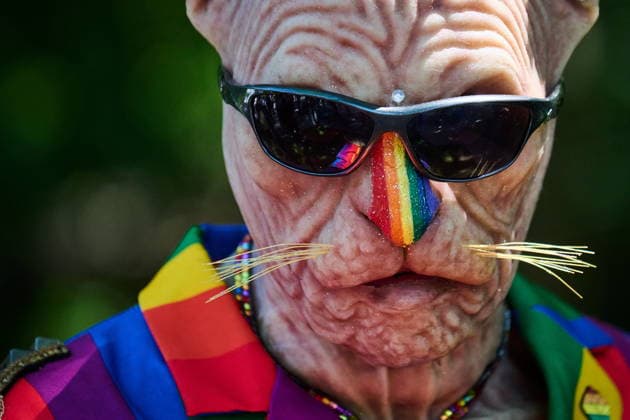 June 28, 2026, Toronto, On, Canada: A person dressed as a cat takes part in the Toronto Pride Parade on Sunday, June 28, 2026. Toronto Canada  - ZUMAc35_ 20260628_zaf_c35_129 Copyright: xSammyxKoganx