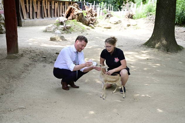 Michael Kretschmer und Catrin Hammer füttern Gazellen-Baby Debby. Ministerpräsident Michael Kretschmer nimmt am Pre-Opening der neuen Entdeckerwelt Â»Wild Love StoriesÂ« im Naturschutz-Tierpark Görlitz-Zgorzelec teil und wird aus diesem Anlass ein Grußwort sprechen. Darüber hinaus wird der Ministerpräsident an einem Rundgang durch die Entdeckerwelt und an einer Begehung der Baustelle des Förderprojektes Â»BärenanlageÂ« teilnehmen.¨Wild Love Stories im Tierpark Görlitz ist ein interaktiver, multimedialer Lehrpfad. Görlitz, 29.06.2026 *** Michael Kretschmer and Catrin Hammer feed the gazelle calf Debby. Minister President Michael Kretschmer will attend the pre-opening of the new Wild Love Stories at the Görlitz-Zgorzelec Na Copyright: xMatthiasxWehnertx