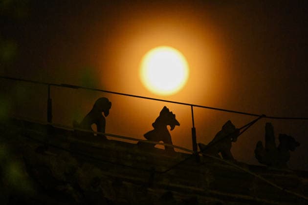 QINGZHOU, CHINA - JUNE 29: June s full moon, nicknamed the strawberry moon, lights up the night sky on June 29, 2026 in Qingzhou, Shandong Province of China.  Copyright: xVCGx 111651327439
