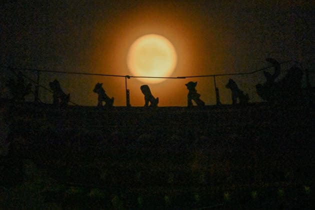 QINGZHOU, CHINA - JUNE 29: June s full moon, nicknamed the strawberry moon, lights up the night sky on June 29, 2026 in Qingzhou, Shandong Province of China.  Copyright: xVCGx 111651327446