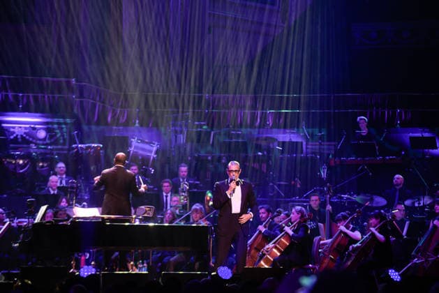 IPA86258395 - London: Jeff Goldblum and The Mildred Snitzer in concert at the Royal Albert Hall  Copyright: xCristinaxMasseix xx 86258395