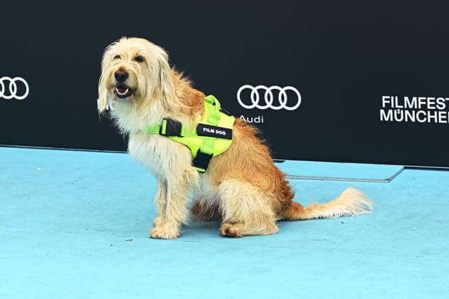 Filmhund bei der Premiere des ARD-Films Chamäleon auf dem 43. Filmfest München 2026 in der Hochschule für Fernsehen und Film. München, 30.06.2026 *** Film dog at the premiere of the ARD film *Chamäleon* at the 43rd Munich Film Festival 2026 at the University of Television and Film Munich, June 30, 2026 Foto:xB.xGillmannx xFuturexImagex chamaeleon_6601
