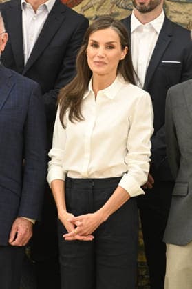 Queen Letizia Receives a Delegation from the Spanish Mental Health Confederation Queen Letizia receives a delegation from the Spanish Mental Health Confederation at the Zarzuela Palace on July 1, 2026, in Madrid, Spain AUDIENCE WITH QUEEN LETIZIA JULY 1, 2026 José Madrid Madrid, Spain  Copyright: xJosÃ xOlivax 7635119