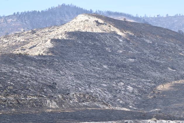 The Government of Aragon Deploys the UME in Response to the Forest Fire in Lecinena Area burned by the fire, as of July 1, 2026, in Lecinena, Zaragoza, Aragon, Spain. The Government of Aragon has requested the deployment of the Military Emergency Unit (UME) to tackle the fire in Lecinena. The military operation is joining the firefighting efforts to combat the severe forest fire that broke out in the municipality, working alongside forest fire brigades and regional aerial resources to control the fire and protect residential and agricultural areas in the Los Monegros region. JULY 1, 2026 FIRE Ramó Lecinena, Zaragoza, Aragon Lecinena, Zaragoza, Aragon Spain  Copyright: xRamonxCometx 7635645