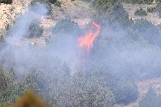 The Government of Aragon Deploys the UME in Response to the Forest Fire in Lecinena Trees burn during a forest fire on July 1, 2026, in Lecinena, Zaragoza, Aragon, Spain. The Government of Aragon has requested the deployment of the Military Emergency Unit (UME) to tackle the fire in Lecinena. The military operation is joining the firefighting efforts to combat the severe forest fire that broke out in the municipality, working alongside forest fire brigades and regional aerial resources to control the fire and protect residential and agricultural areas in the Los Monegros region. JULY 1, 2026 FIRE Ramó Lecinena, Zaragoza, Aragon Lecinena, Zaragoza, Aragon Spain  Copyright: xRamonxCometx 7635656
