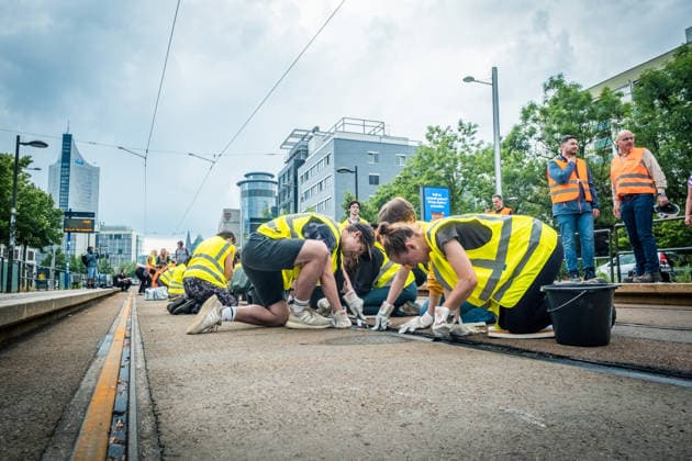 Leipziger Bürgerinnen und Bürger befreien am Johannisplatz gemeinsam mit den Leipziger Verkehrsbetrieben (LVB) die Straßenbahngleise von geschmolzenem Bitumen. Nachdem bereits am Vortag rund 100 Freiwillige einem Aufruf der LVB gefolgt waren, wurden die Reinigungsarbeiten am zweiten Tag am Johannisplatz fortgesetzt. Hintergrund sind die Schäden durch die extremen Temperaturen des vergangenen Hitzewochenendes. Aufnahme vom Datum . Reinigung Leipzig *** Residents of Leipzig are working together with the Leipzig Public Transportation Authority (LVB) to clear melted asphalt from the tram tracks at Johannisplatz. After about 100 volunteers had already responded to a call for help from the LVB the previous day, cleanup efforts continued on t