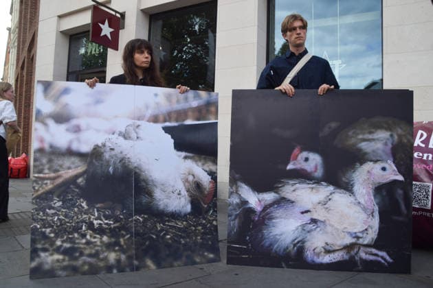 July 1, 2026, Ascot, England, United Kingdom: Activists stand with photos of chickens outside Pret in Waterloo during a protest urging the public to skip the fast food chain until they stop selling meat from Frankenchickens. Frankenchickens are chickens bred to grow artificially fast, and campaigners say they suffer far more than regular chickens. Ascot United Kingdom - ZUMAv130 20260701_zip_v130_028 Copyright: xVukxValcicx
