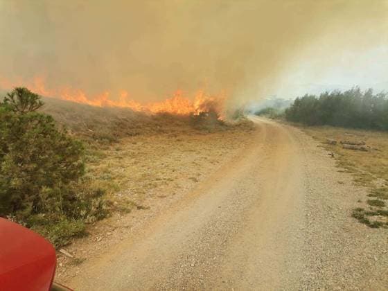 Wildfire breaks out near Senj in Croatia SENJ, CROATIA - JULY 2: (----EDITORIAL USE ONLY - MANDATORY CREDIT - CROATIAN FIREFIGHTING ASSOCIATION HANDOUT - NO MARKETING NO ADVERTISING CAMPAIGNS - DISTRIBUTED AS A SERVICE TO CLIENTS----) A view of a wildfire burning near the town of Senj, Croatia, on July 2, 2026. A wildfire broke out in an open area near Senj at 1:11 p.m. local time, prompting a large-scale firefighting response. Firefighting operations involved two CL-415 water bomber aircraft and 29 firefighters with nine fire engines from the Senj Public Fire Department and the volunteer fire departments of Sveti Juraj, Brinje, Senj and Krasno. The fire is burning grassland and Mediterranean scrub vegetation, while the total area affec  Copyright: x2026xAnadoluxCroatianxFirefightingxAssociationx
